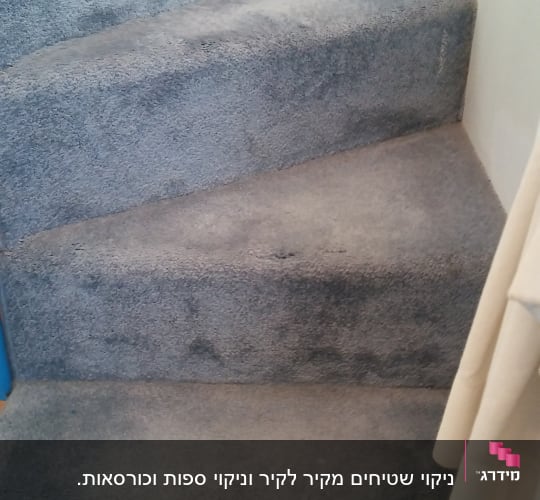 מדרגות מכוסות שטיח אפור עם כתמים כהים